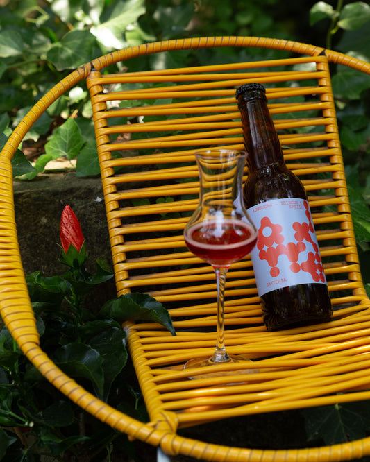 Ibiscus e Spezie, box da 12 bottiglie