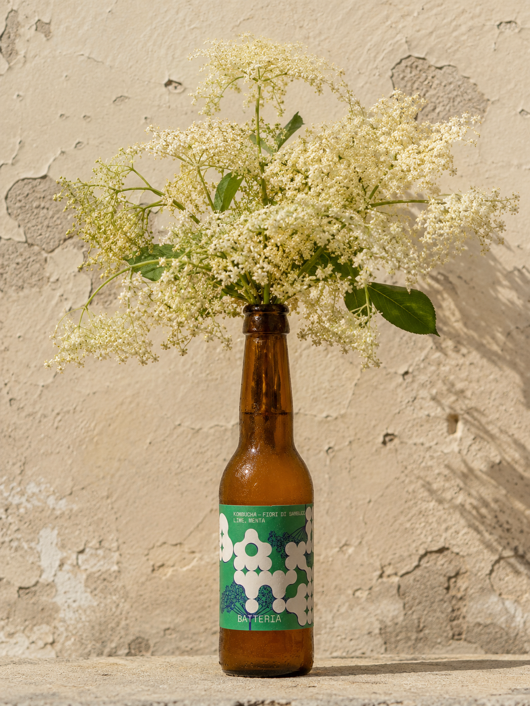 Fiori di sambuco, menta, lime