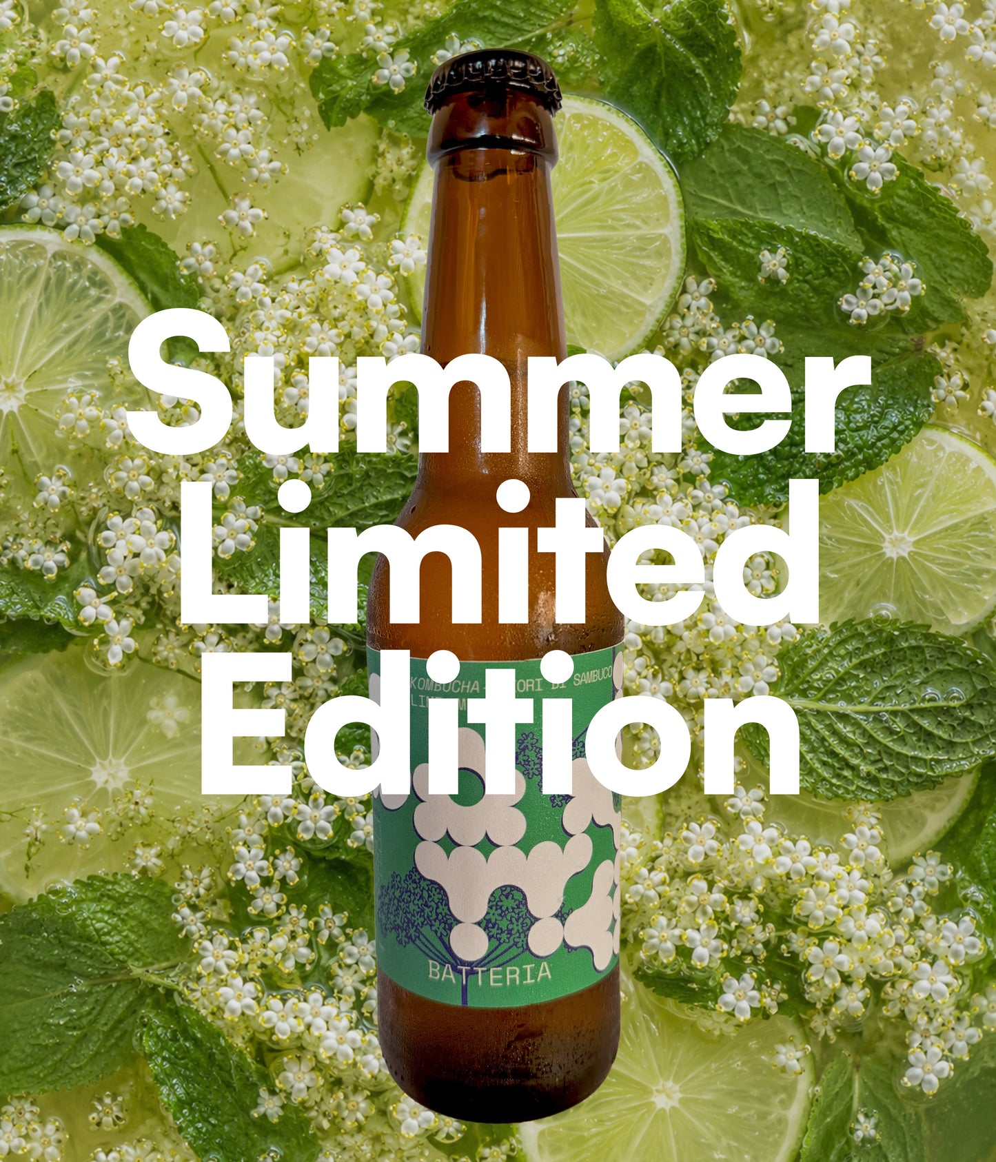 Fiori di sambuco, menta, lime